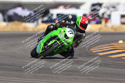 media/Jan-14-2024-SoCal Trackdays (Sun) [[2e55ec21a6]]/Turn 16 Set 2 (1125am)/